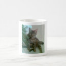 Suche nach lolcats tassen Niedlich