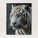 Suche nach weißer tiger puzzle Für alle