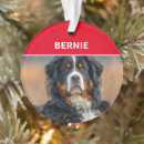 Suche nach berner ornamente Hunde
