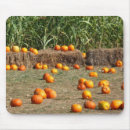 Suche nach heu mousepads Herbst