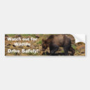 Suche nach bären autoaufkleber Wildtiere
