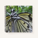 Suche nach niedliche schmetterlinge kleine notizbücher Jede person