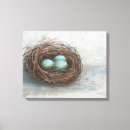Suche nach vogelnest leinwandbilder Vögel