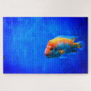 Suche nach flossen puzzle Wasser