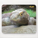 Suche nach komodo drache mousepads Eidechse