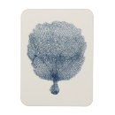 Suche nach sammlung magnete Küstenlinie