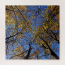 Suche nach extrem puzzle Herausforderung