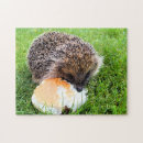 Suche nach igel puzzle Wild