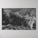 Suche nach bear poster Foto