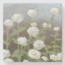 Suche nach studier studie untersetzer Blume