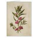 Suche nach balsam postkarten Botanisch