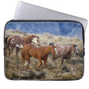 Suche nach horses laptop schutzhüllen Quarter horse