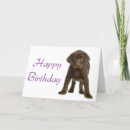 Suche nach dodge karten Für alle