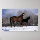 Suche nach araber poster Stehend