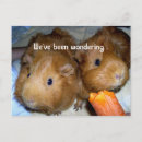 Suche nach vermissen postkarten Für kinder