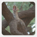 Suche nach panther aufkleber Natur