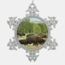 Suche nach bison ornamente Natur