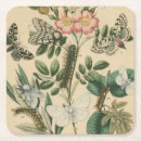 Suche nach studio untersetzer Schmetterlinge