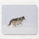 Suche nach wolf im schnee mousepads Natur