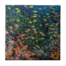 Suche nach riff fliesen Unterwasser