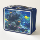 Suche nach aquarium brotdosen Korallenriff