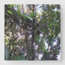 Suche nach bäume wanduhren Jede person