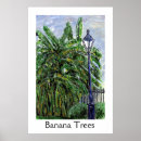 Suche nach banana poster Bäume