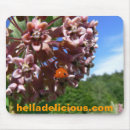 Suche nach marienkäfer mousepads Natur