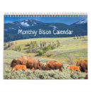 Suche nach bison kalender Büffel