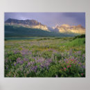Suche nach prairie poster Park
