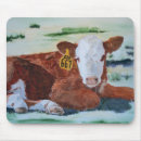 Suche nach hereford mousepads Vieh
