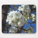 Suche nach weiße blüten mousepads Flora
