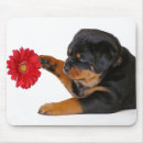 Suche nach rottweiler hund mousepads Welpen