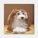 Suche nach individualität magnete Spaß