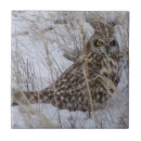 Suche nach schaf geschenke Jede person