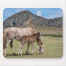 Suche nach stute und fohlen mousepads Hengstfohlen