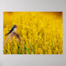 Suche nach schluchten poster Tierwelt