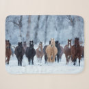 Suche nach pferde schnee decken Ranch