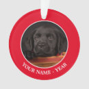 Suche nach schwarzer labrador ornamente Haustiere