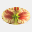 Suche nach amaryllis aufkleber Grün