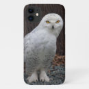 Suche nach weiße eulen iphone hüllen Vögel