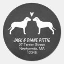 Suche nach pit aufkleber Pillbulle