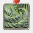 Suche nach dorne ornamente Pflanze