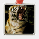 Suche nach fell ornamente Tierwelt