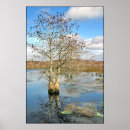 Suche nach zwei bäume poster Himmel