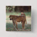 Suche nach anleitung buttons Natur