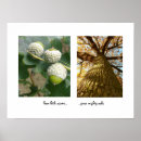 Suche nach acorn poster Eichen