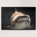 Suche nach weißer hai puzzle Ozean
