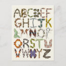 Suche nach insekten postkarten Für kinder