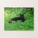 Suche nach black cat puzzle Haustier